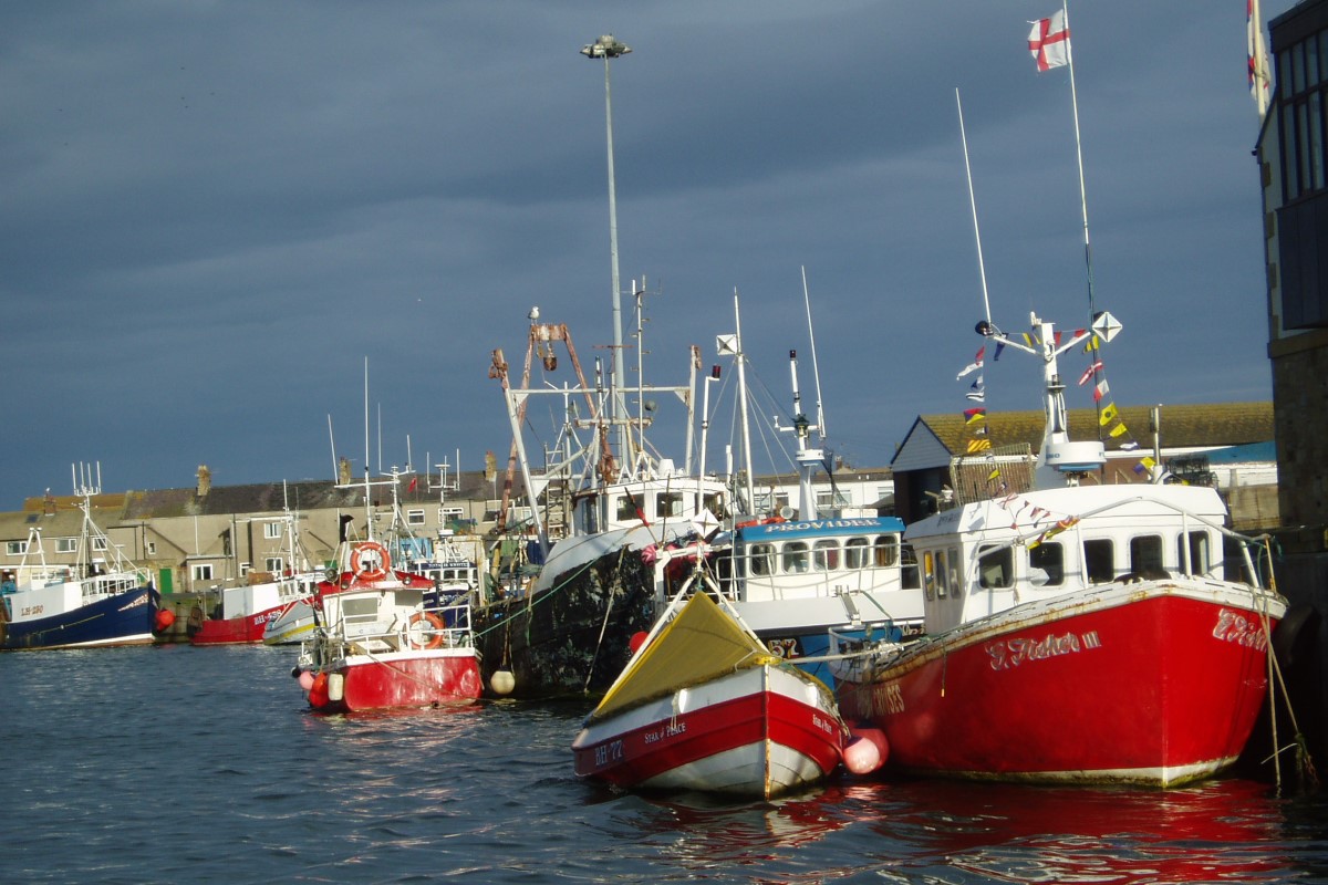 Boats near Alnwick